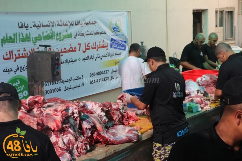 lod8om ada73y (3).JPG